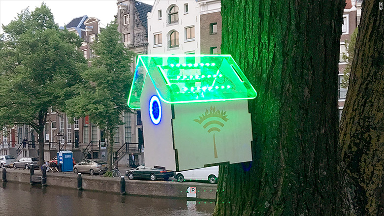 wifi nest box in Amsterdam